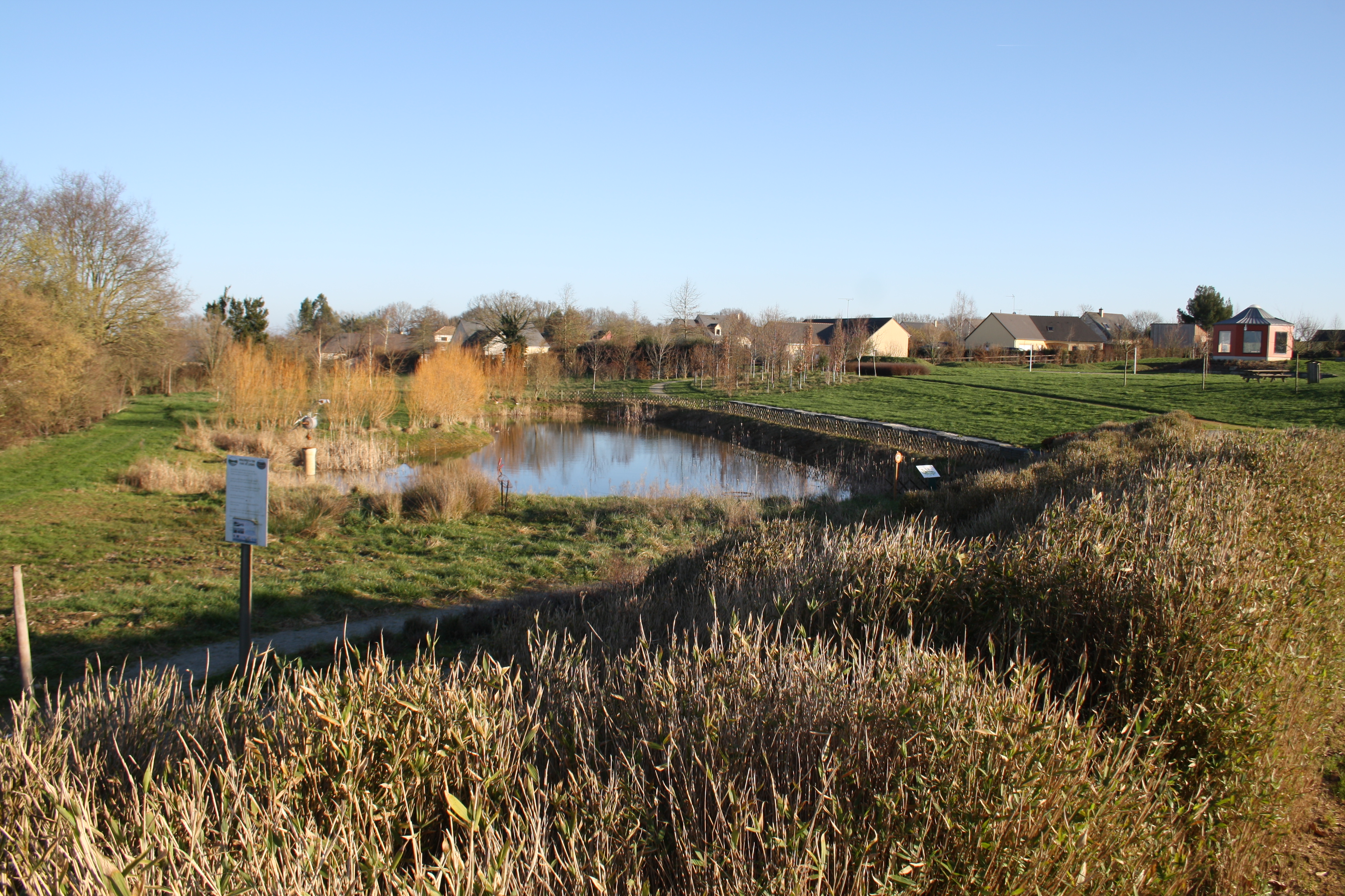 plan d'eau