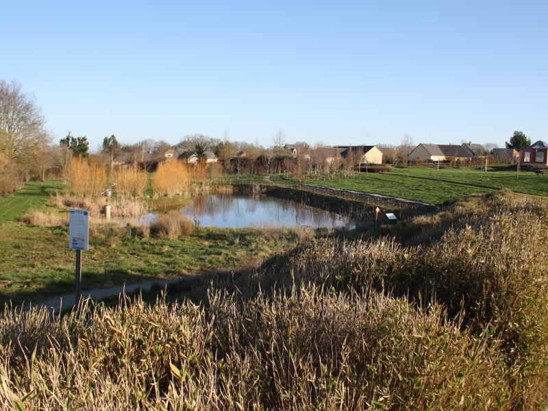 Plan d'eau du parc et mare communale labellisé